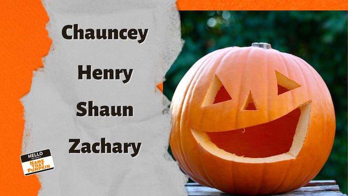 Name That Pumpkin image number null